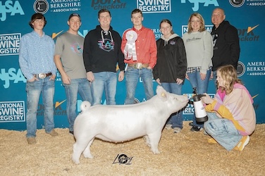 Upperhand Winners